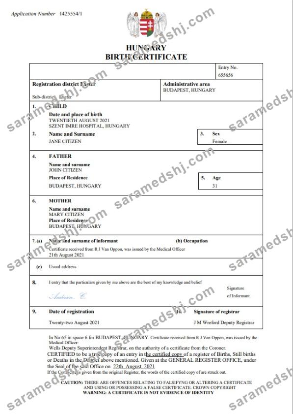Hungary vital record birth certificate Word and PDF template